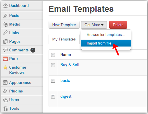 import the template from file