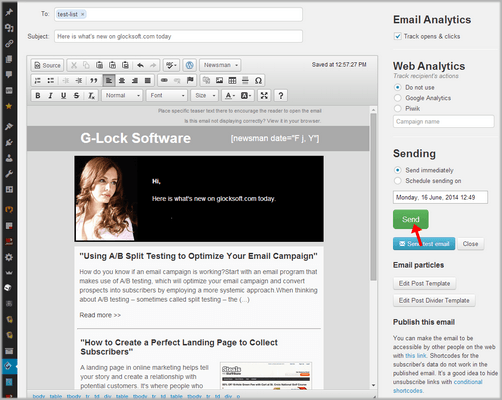 Send email newsletter in WPNewsman